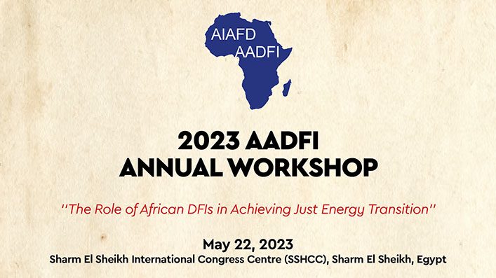 Summary Report of the 2023 AADFI Annual Workshop